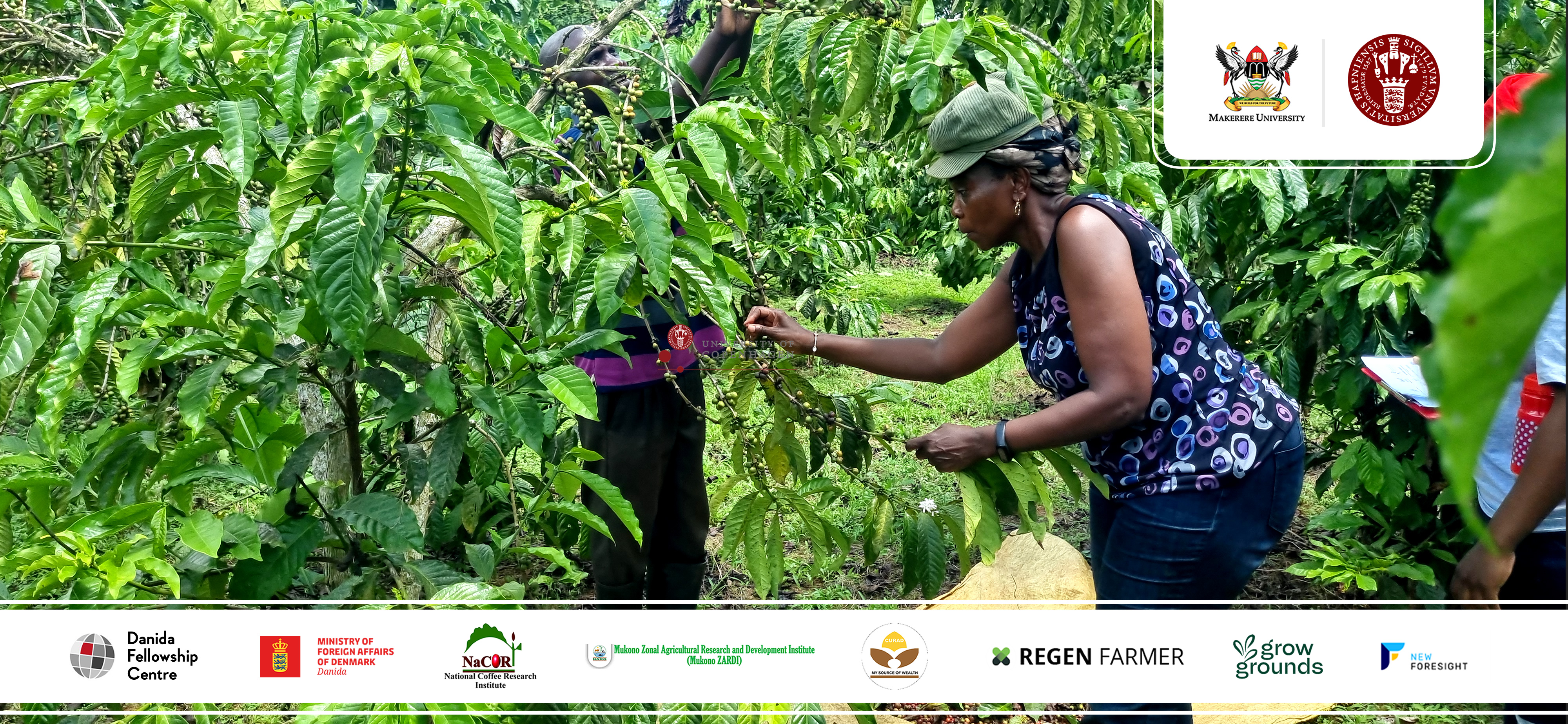 Harvesting More Than Coffee – A Sustainable Future