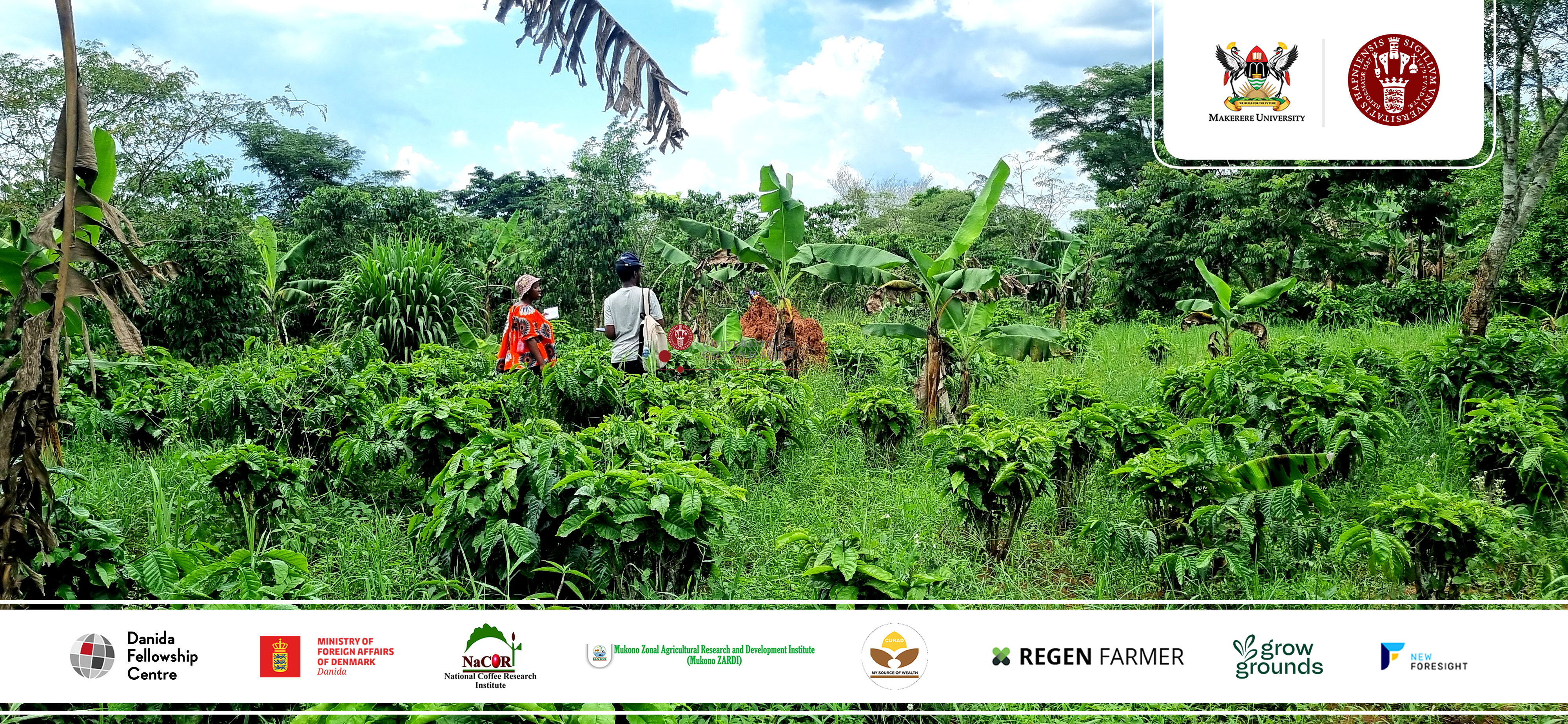 Where Coffee and Canopy Thrive Together