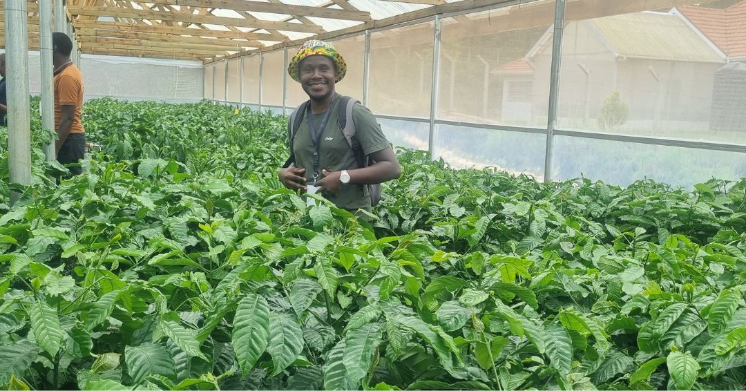 Coffee Improvement Course