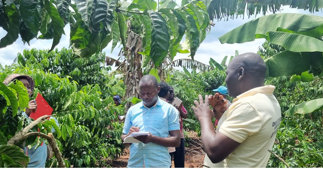 Project Reconnaissance